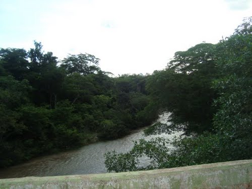 rio preto