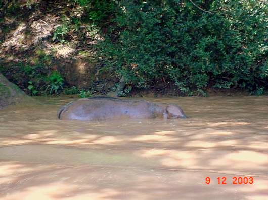 Rio paranaiba 1